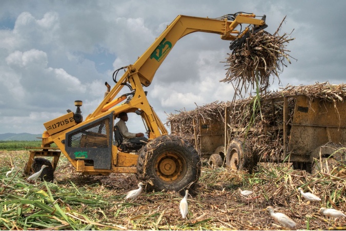 DomRep: Vom Zuckerrohr-Abfall zum Weltmarktprodukt „Furfural“